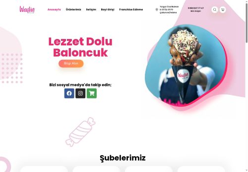 waflin.com capture - 2025-07-03 01:48:35