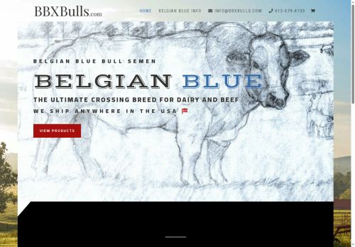 bbxbulls.com capture - 2025-07-03 07:19:45