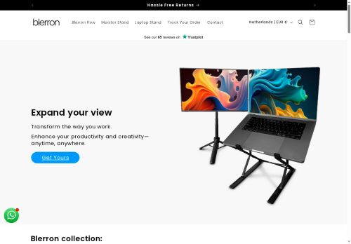 blerron.com capture - 2025-07-03 07:50:11