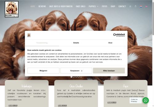 doodle-babys.com capture - 2025-07-03 09:34:06