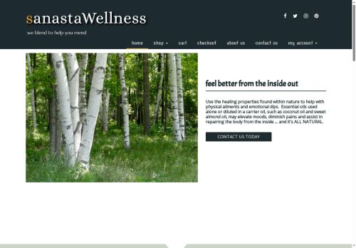 sanasta.com capture - 2025-07-03 10:37:24