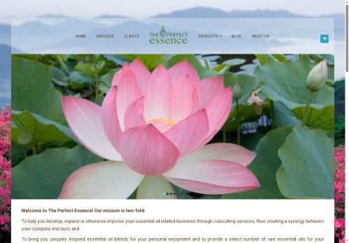theperfectessence.com capture - 2025-07-03 19:26:40