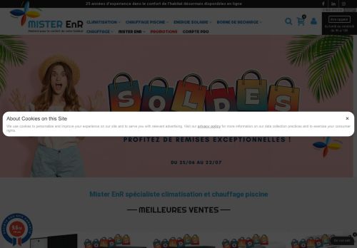 mister-enr.com capture - 2025-07-03 21:44:55