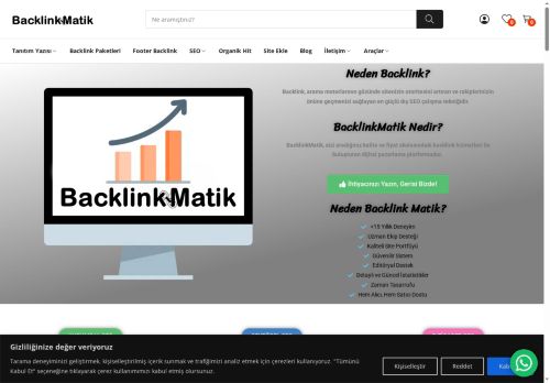 backlinkmatik.com capture - 2025-07-03 22:41:48