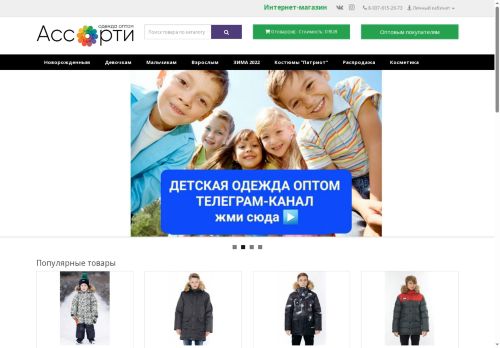 assortiopt.com capture - 2025-07-03 22:43:49