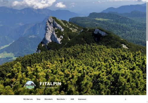 fitalpin.com capture - 2025-07-04 00:20:09