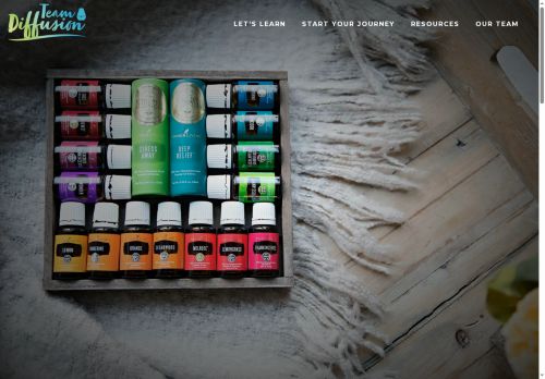 teamdiffusion.com capture - 2025-07-04 00:23:11