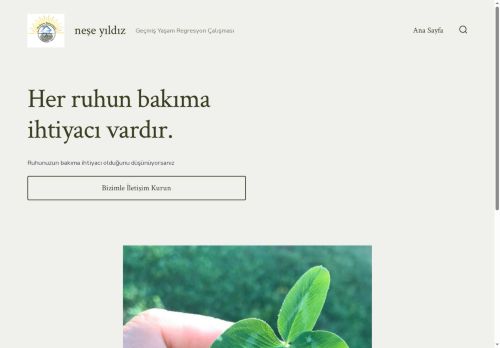 ruhunbakimevi.com capture - 2025-07-04 02:44:21