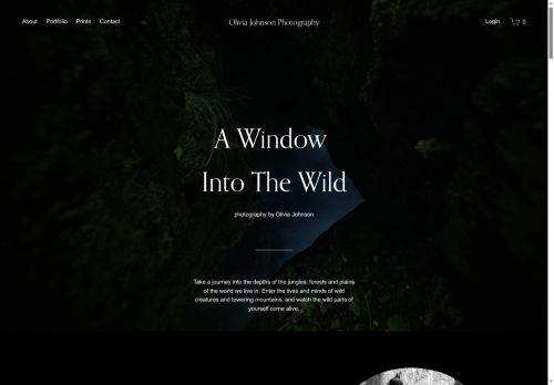 oliviajohnsonphoto.com capture - 2025-07-04 06:25:47