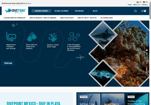 divepointmexico.com capture - 2025-07-04 09:11:35