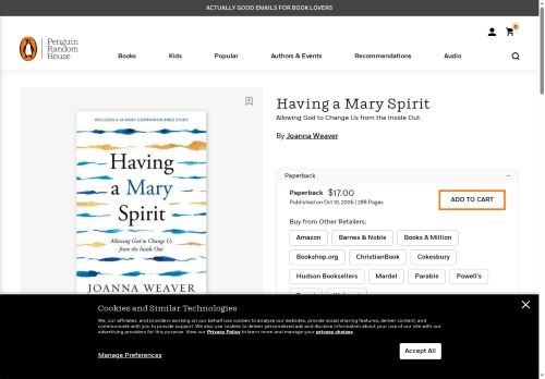 havingamaryspirit.net capture - 2025-07-04 12:29:19