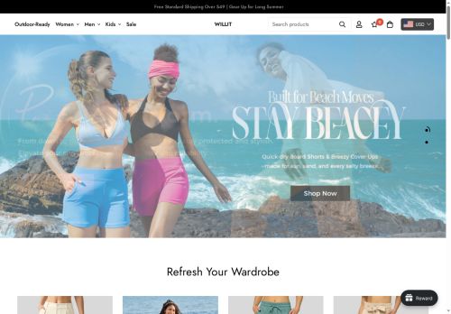 thewillit.com capture - 2025-07-04 16:01:43