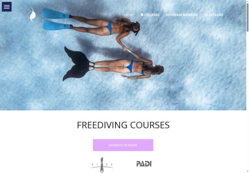 deepseabonaire.com capture - 2025-07-04 18:22:41