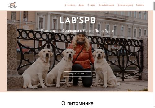 labradorspb.ru capture - 2025-07-04 22:13:15