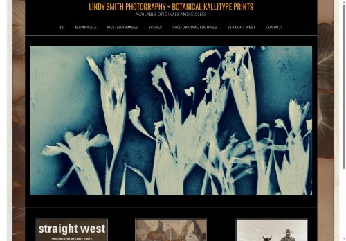 lindy-smith-art.com capture - 2025-07-05 05:22:48