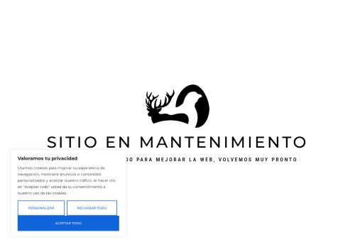 higiniogomez.com capture - 2025-07-05 10:26:19