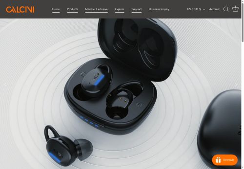 calcini.com capture - 2025-07-05 11:16:19