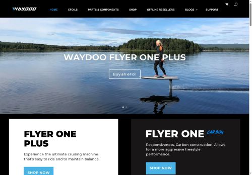 waydoo.tech capture - 2025-07-05 12:36:20