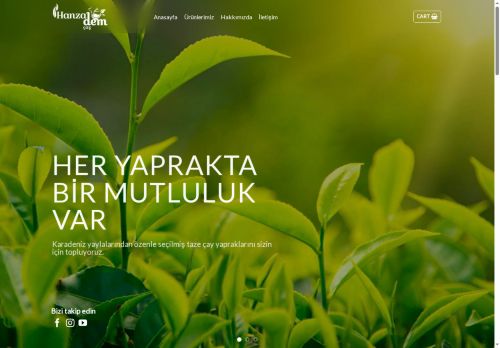 hanzademcay.com capture - 2025-07-05 14:30:11