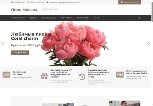 pionsale.ru capture - 2025-07-05 17:30:49