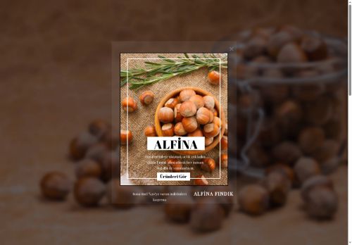 alfinafindik.com capture - 2025-07-05 18:07:16