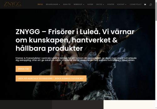 znygg.se capture - 2025-07-05 18:13:11