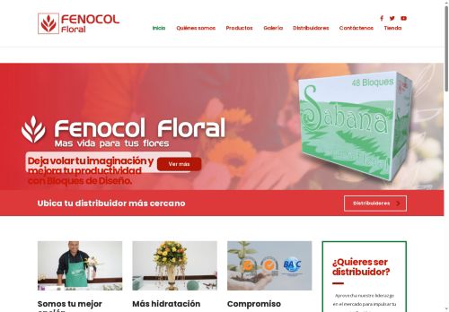 fenocolfloral.com capture - 2025-07-05 22:13:24