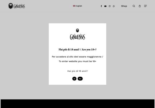 ginuensis.com capture - 2025-07-06 10:29:42