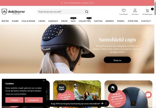 dokihorse.com capture - 2025-07-06 11:19:40