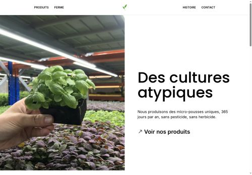 lespoussesdor.com capture - 2025-07-07 01:37:11