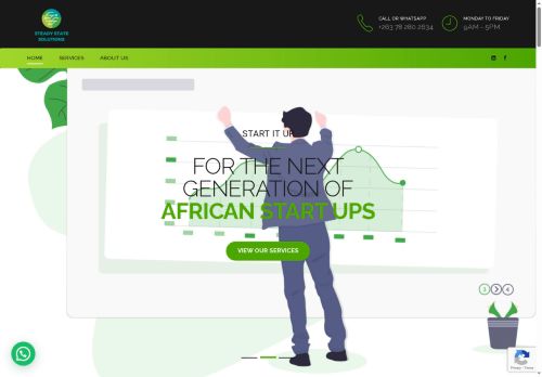 solutionssteadystate.com capture - 2025-07-07 10:40:10