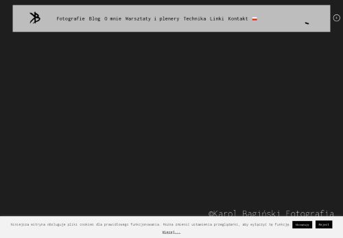 karolbaginski.com capture - 2025-07-07 13:11:30