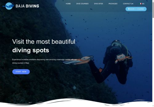 Baja Diving capture - 2025-07-08 00:07:40