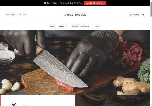 damas-messen.com capture - 2025-07-08 00:43:33