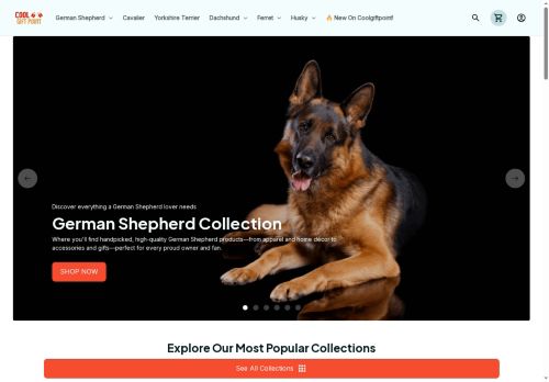 CoolGiftPoint capture - 2025-07-08 10:58:27