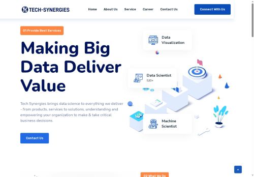 tech-synergies.com capture - 2025-07-08 13:38:04