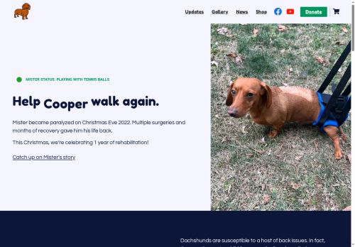 helpmisterwalk.com capture - 2025-07-08 18:20:50