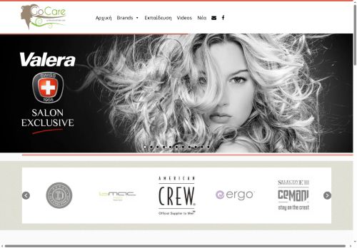 gocarecy.com capture - 2025-07-09 11:03:54