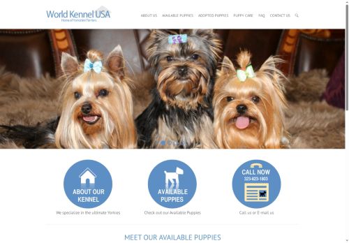 worldkennelusa.com capture - 2025-07-09 12:13:09