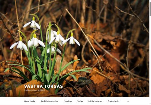 vastratorsas.se capture - 2025-07-09 13:12:30