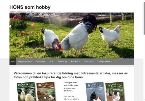 honssomhobby.com capture - 2025-07-09 14:36:40