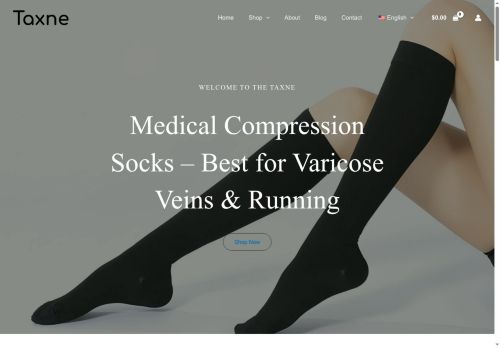 taxne.com capture - 2025-07-09 15:20:35