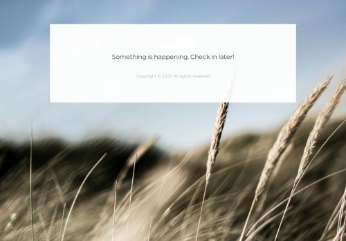 cetabusiness.network capture - 2025-07-09 20:28:09