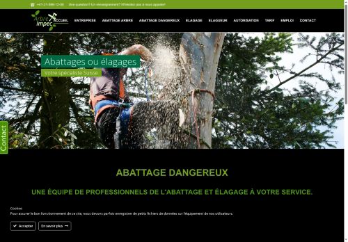 abattage-dangereux.ch capture - 2025-07-09 23:39:18