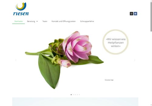 drogerie-riesen.ch capture - 2025-07-10 09:34:02