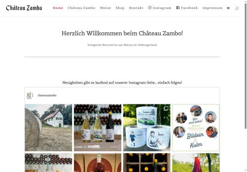 joergzambo.com capture - 2025-07-10 14:21:53