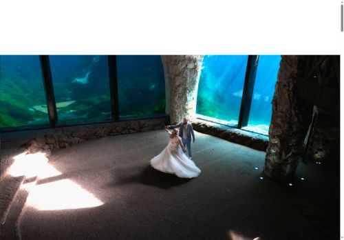 jonathanbauduin.com capture - 2025-07-10 16:26:15