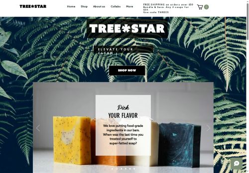 Treestar NYC capture - 2025-07-11 01:45:58