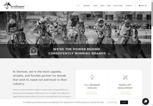 steinser.com capture - 2025-07-11 03:09:51