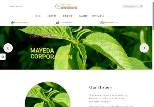 mayedacorporation.com capture - 2025-07-11 06:33:25